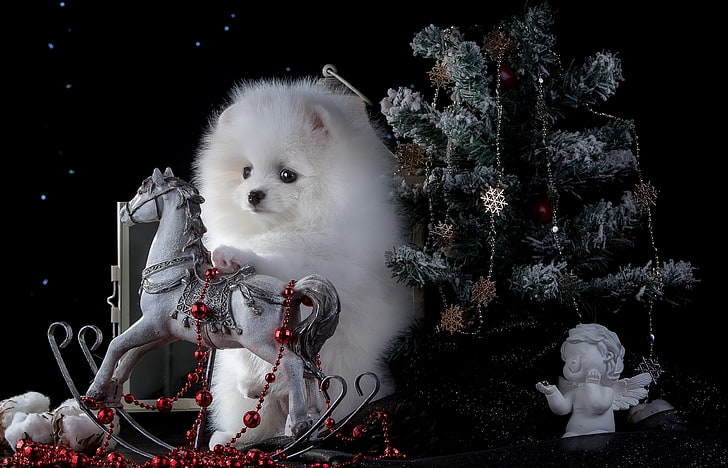 white Pomeranian puppy, dog, beads, figurine, tree, rocking, horse, angel, Spitz, HD wallpaper