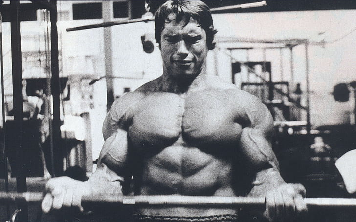 Arnold Schwarzenegger, Barbell, นักเพาะกาย, เพาะกาย, ดัมเบล, ออกกำลังกาย, โรงยิม, วอลล์เปเปอร์ HD