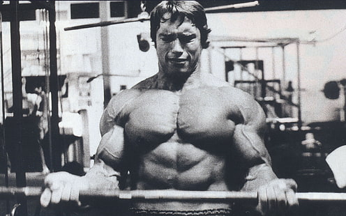 Arnold Schwarzenegger, Barbell, Bodybuilder, musculação, Halteres, Exercício, Academias, HD papel de parede HD wallpaper