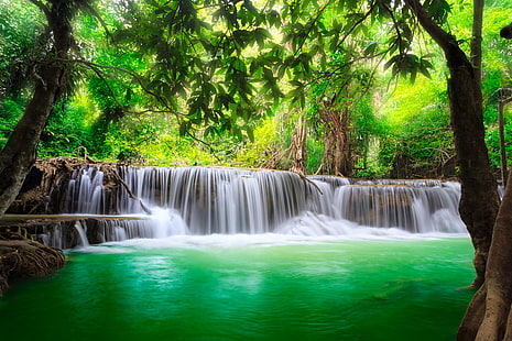 waterfalls and green trees, waterfall, forest, river, water, flow, emerald, HD wallpaper HD wallpaper