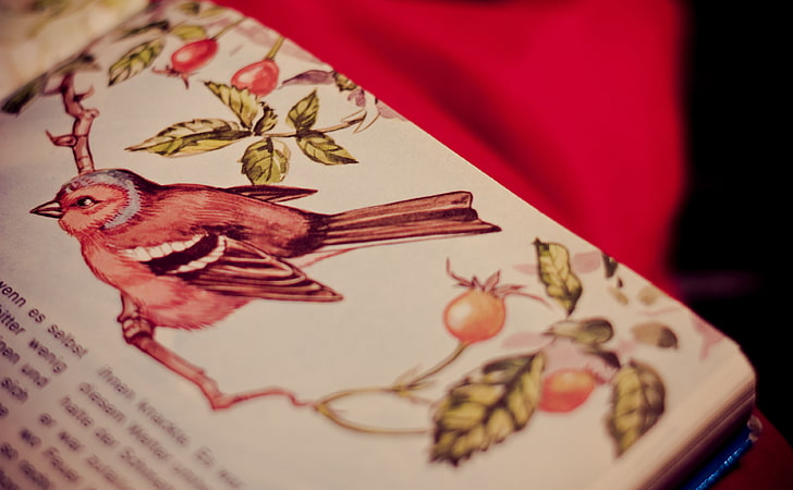 Bird Tale, white book page, Vintage, Book, Story, Tale, HD wallpaper