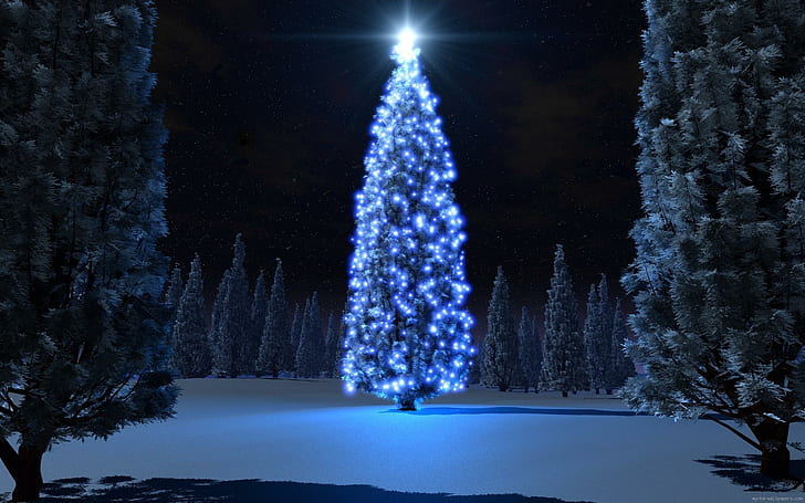 Blue christmas tree, giant christmas tree, holidays, christmas, tree, winter, lights, snow, HD wallpaper