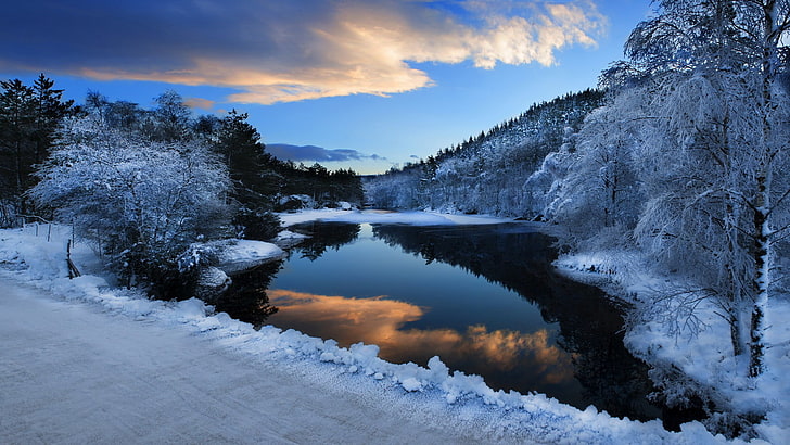 hutan salju dekat badan air, alam, danau, gunung, salju, es, musim dingin, Wallpaper HD