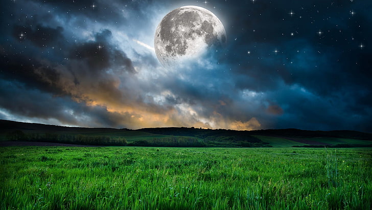 lune, herbe, ciel, humeur, nuit, étoiles, fantaisie, rêve, nature, paysage, atmosphère, prairie, champ, prairie, Fond d'écran HD