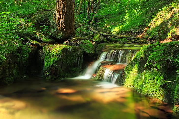 timelapse photo of water falls beside tree, Green Run, timelapse, photo, water falls, tree, Pennsylvania, Clinton County, Sproul State Forest, Bucktail State Park Natural Area, Western Pennsylvania Conservancy, Wilds, hiking, creek, stream, waterfall, cascades, forest, trees, understory, vegetation, moss, rocks, ravine, summer, creative commons, nature, river, tropical Rainforest, freshness, outdoors, water, landscape, green Color, scenics, leaf, beauty In Nature, HD wallpaper