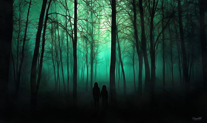 forest trail, trees, spooky, HD wallpaper