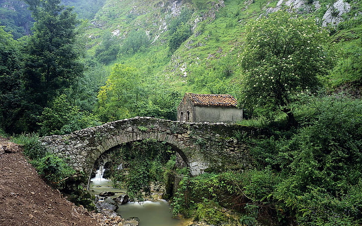 серый и черный мост, мост, каменный дом, скалы, деревья, река, HD обои