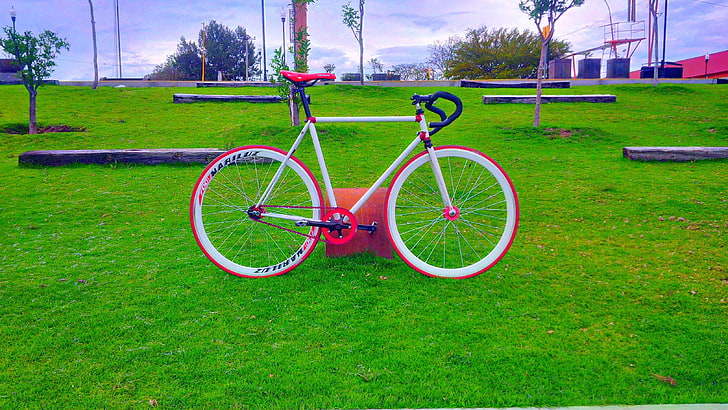 biały rower szosowy, fixie, różowy, biały, rower, Tapety HD