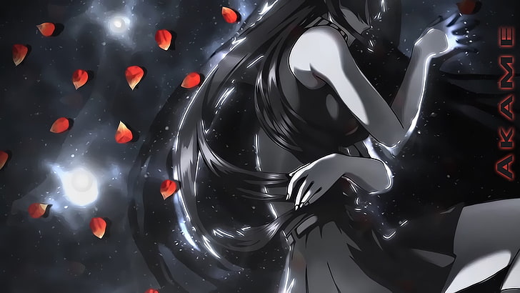 Mädchen Anime Illustration, Akame ga Kill !, Akame, HD-Hintergrundbild