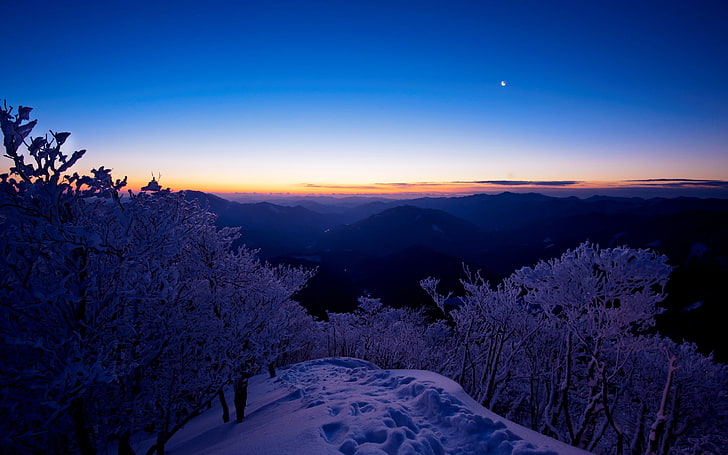 горный пейзаж, снег, деревья, закат, природа, пейзаж, зима, небо, HD обои