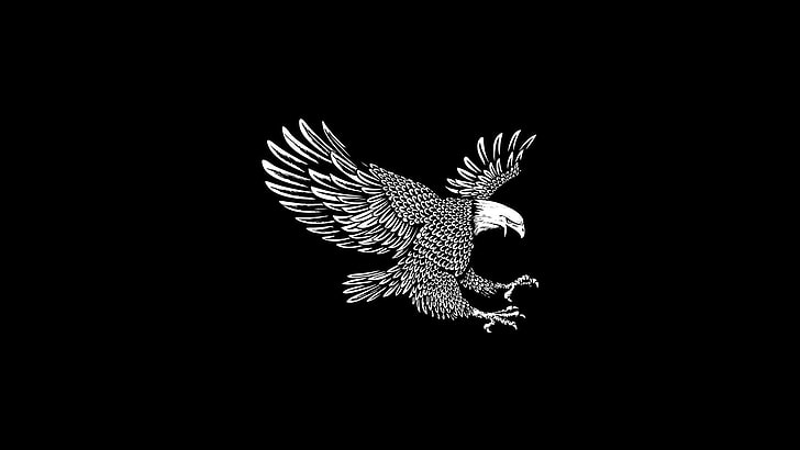 белый орел - векторный рисунок, птица, перья, орел, HD обои