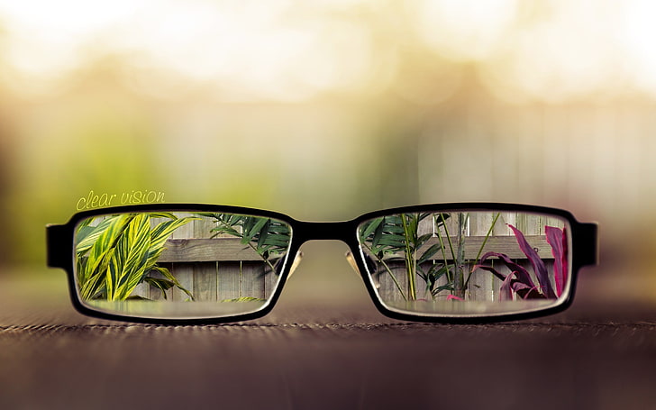 lunettes noires encadrées, lunettes, plantes, verre, profondeur de champ, art numérique, bokeh, Fond d'écran HD