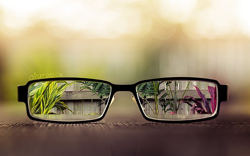 siyah çerçeveli gözlük, gözlük, bitkiler, cam, alan derinliği, dijital sanat, bokeh, HD masaüstü duvar kağıdı HD wallpaper