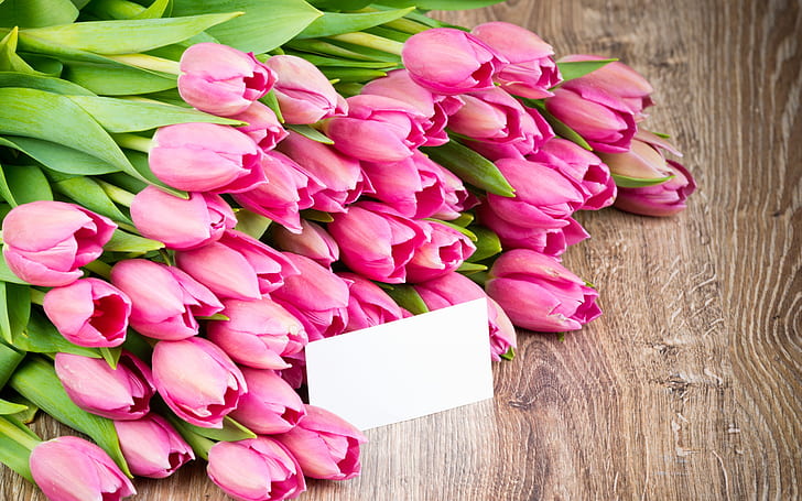 Flores rosadas, tulipanes, ramo, rosa, flores, tulipanes, ramo, Fondo de pantalla HD