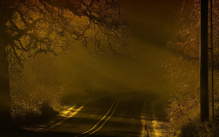 gray concrete road, road, night, fog, marking, HD wallpaper