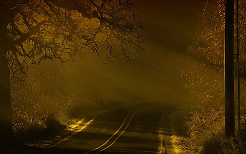 estrada de concreto cinza, estrada, noite, nevoeiro, marcação, HD papel de parede HD wallpaper