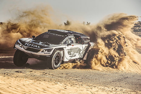 Peugeot, sand, Rally, car, vehicle, racing, HD wallpaper HD wallpaper
