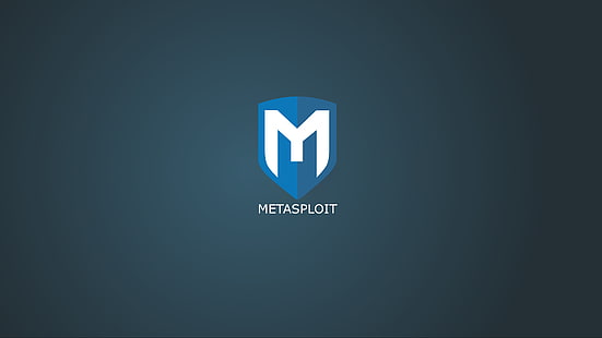 metasploit, Kali Linux, Software, Fondo de pantalla HD HD wallpaper