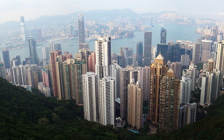 brown and gray concrete city buildings, the city, view, height, Hong Kong, HD wallpaper