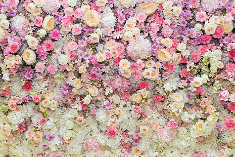 ดอกกุหลาบสีขาวสีชมพูและสีม่วง, ดอกไม้, พื้นหลัง, กุหลาบ, ชมพู, ตา, ดอกตูม, วอลล์เปเปอร์ HD HD wallpaper