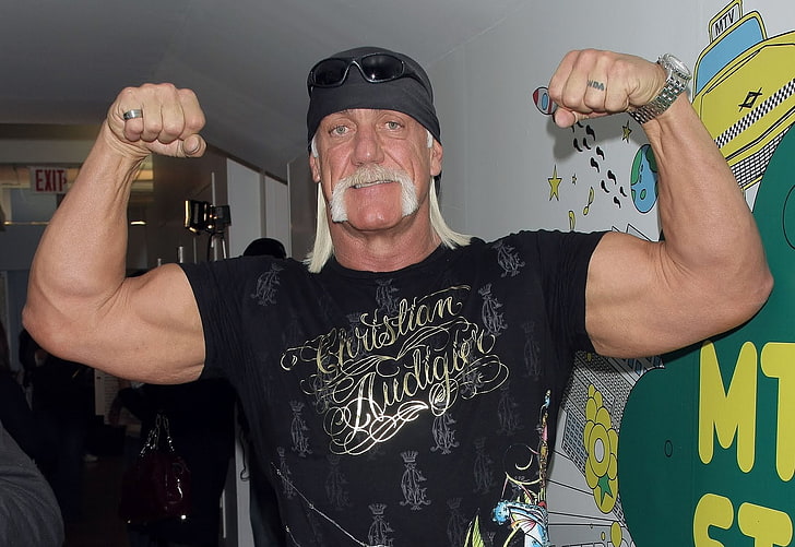Hulk Hogan, WWE, , heavyweight championship, world champion, hulk hogan, HD wallpaper