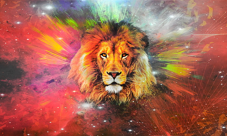 lion, galaxy, HD wallpaper