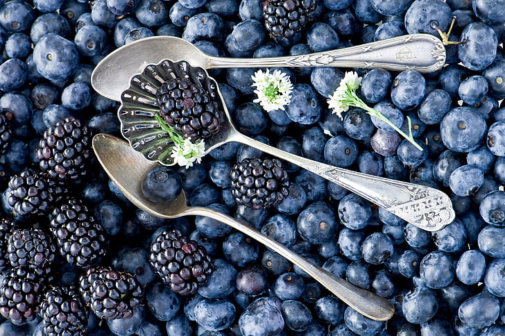 berries, blueberries, a lot, BlackBerry, spoon, Anna Verdina, HD wallpaper