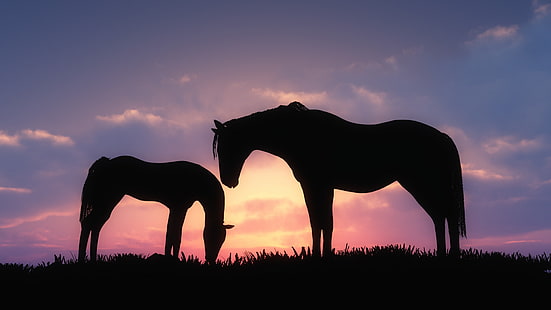 duas silhueta de cavalos, cavalo, animais, bebê animais, pôr do sol, silhueta, HD papel de parede HD wallpaper
