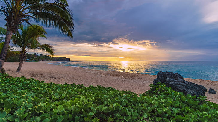 pasir, pantai, matahari terbenam, pohon-pohon palem, samudra, Prancis, Samudra Hindia, Samudra Hindia, Pulau Reunion, Wallpaper HD