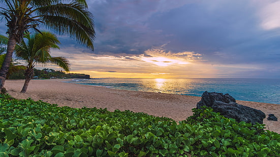 sable, plage, coucher de soleil, palmiers, l'océan, France, l'océan Indien, l'océan Indien, l'île de la Réunion, Fond d'écran HD HD wallpaper