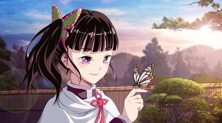 anime, Kimetsu no Yaiba, gadis anime, rambut gelap, kupu-kupu, hewan, serangga, mata merah muda, sinar matahari, Wallpaper HD