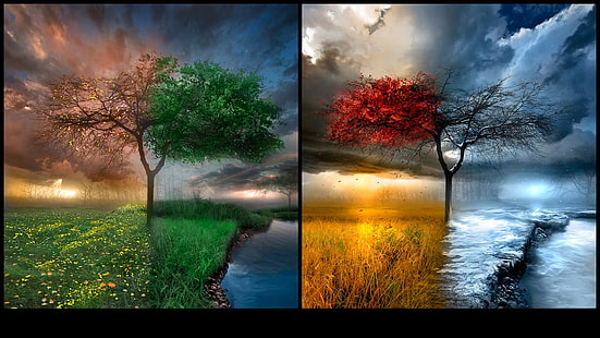 مواسم 1366x768 Nature Seasons HD Art ، مواسم، خلفية HD HD wallpaper