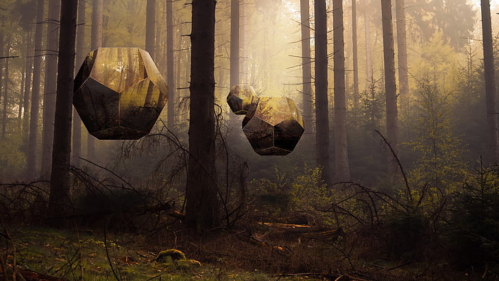 лес, туман, фото манипуляции, геометрические фигуры, HD обои