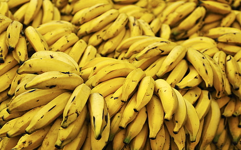 kupa kiść owoców banana, tło, roślina, żywność, banany, dużo, żółty, Tapety HD HD wallpaper