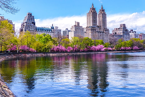 pohon, rumah, musim semi, New York, AS, kolam, berbunga, Central Park, Wallpaper HD HD wallpaper