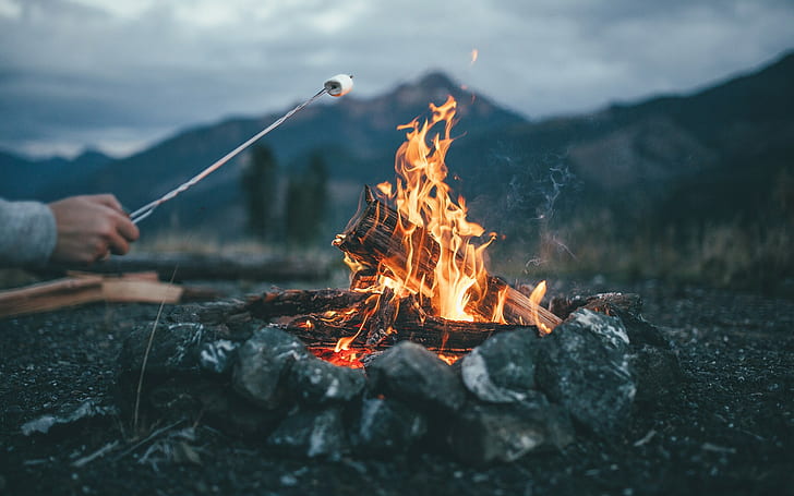 Kamin, Marshmallows, Feuer, HD-Hintergrundbild