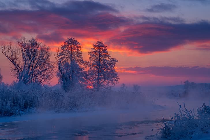 winter, trees, river, sunrise, dawn, morning, frost, Poland, reed, River Gwda, Река Гвда, HD wallpaper