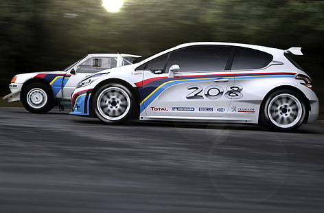 auto, sport, race, legend, rally, T16, Peugeot 208, HD wallpaper HD wallpaper