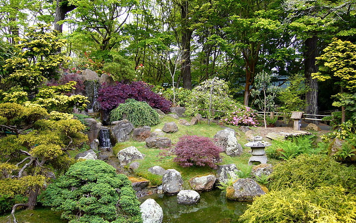 公園、緑、紫、黄色の緑豊かな庭の植物の小さな滝、自然、1920x1200、木、滝、岩、池、公園、 HDデスクトップの壁紙