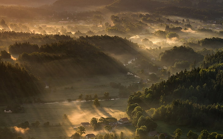 Natur, Landschaft, Sonnenstrahlen, Nebel, Wald, Dorf, Bäume, Sonnenstrahlen, Berge, HD-Hintergrundbild