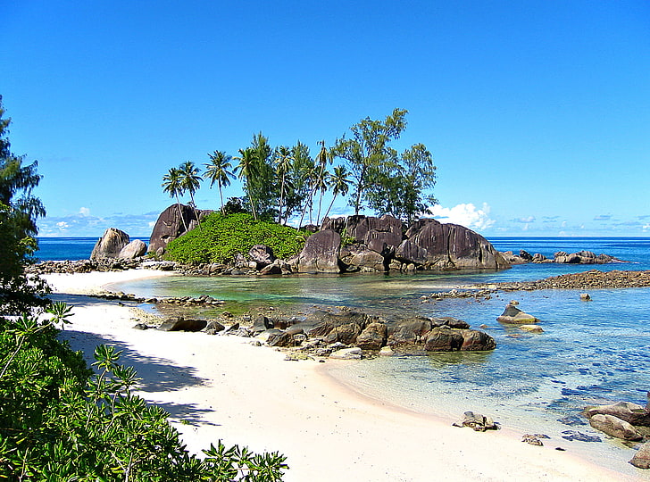 arbres verts, nature, océan, séjour, détente, Seychelles, exotique, Anse l Islette, Fond d'écran HD