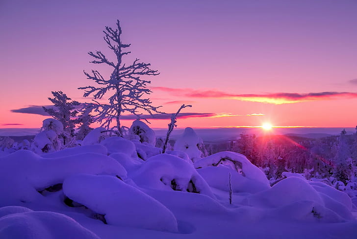 Wintersonnenuntergangschnee, Baum mit Schnee, Schnee, Winter, Sonnenuntergang, HD-Hintergrundbild