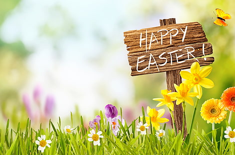 niebo, trawa, słońce, kwiaty, kosz, wiosna, Wielkanoc, żonkile, jajka, dekoracja, Happy, Tapety HD HD wallpaper