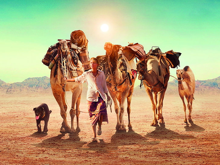 four brown camels, tracks, robyn davidson, mia wasikowska, HD wallpaper