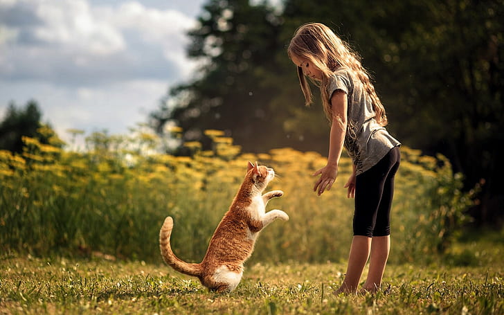 Девочка и кошка дружба, оранжевый полосатый кот, девушка, кошка, друзья, дружба, HD обои