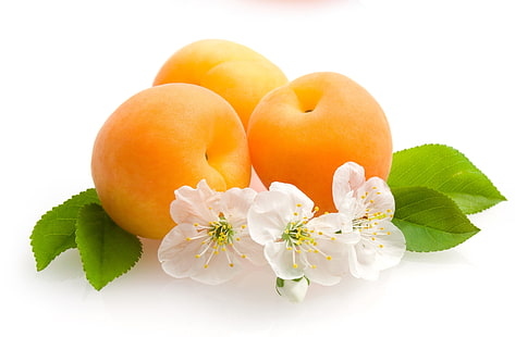 orange Früchte, Blätter, Früchte, Blumen, Aprikosen, HD-Hintergrundbild HD wallpaper
