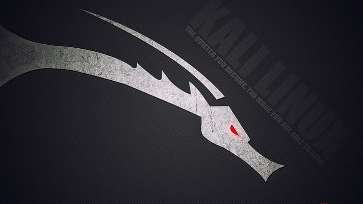 Kali Linux, Kali Linux NetHunter, proste tło, Linux, hacking, logo, smok, technika, Tapety HD