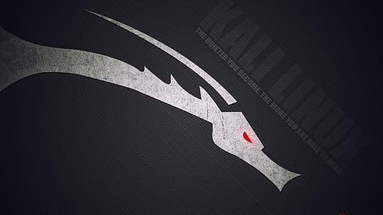 Kali Linux, Kali Linux NetHunter, прост фон, Linux, хакване, лого, дракон, технология, HD тапет HD wallpaper