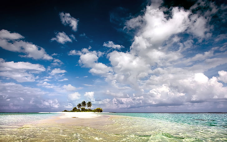 black and green island, landscape, water, beach, island, tropical, palm trees, sky, clouds, sea, HD wallpaper
