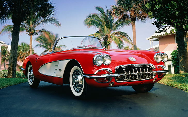 เชฟโรเลต Corvette ปี 1960, เชฟโรเลต Corvette, เชฟโรเลต, เปลี่ยนแปลงได้, สีแดง, ปาล์ม, เชฟโรเลตคอร์เวตปี 1960, เชฟโรเลตคอร์เวทท์, เชฟโรเลต, เปลี่ยนแปลงได้, ปาล์ม, วอลล์เปเปอร์ HD